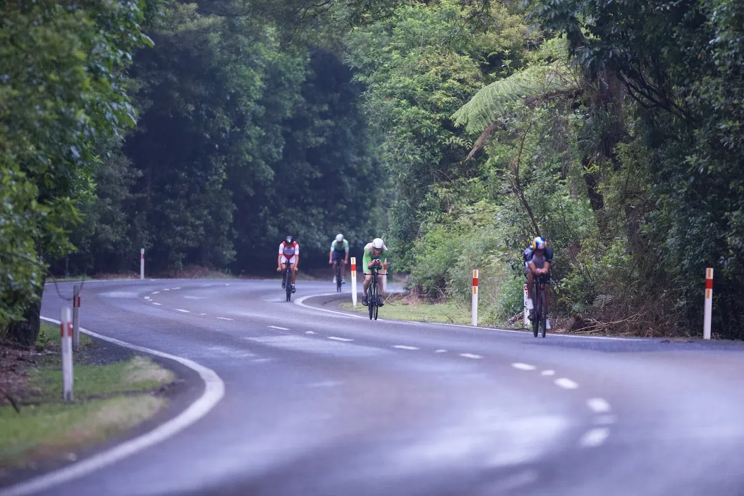 Riders on a wet road lined with native bush